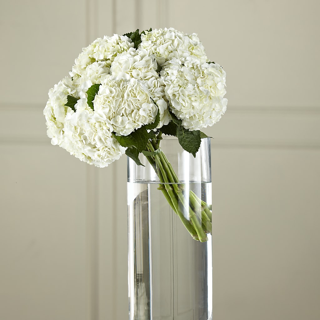 White Hydrangea Hand-Tied Bouquet – Loose Leaf Florist, Austin TX
