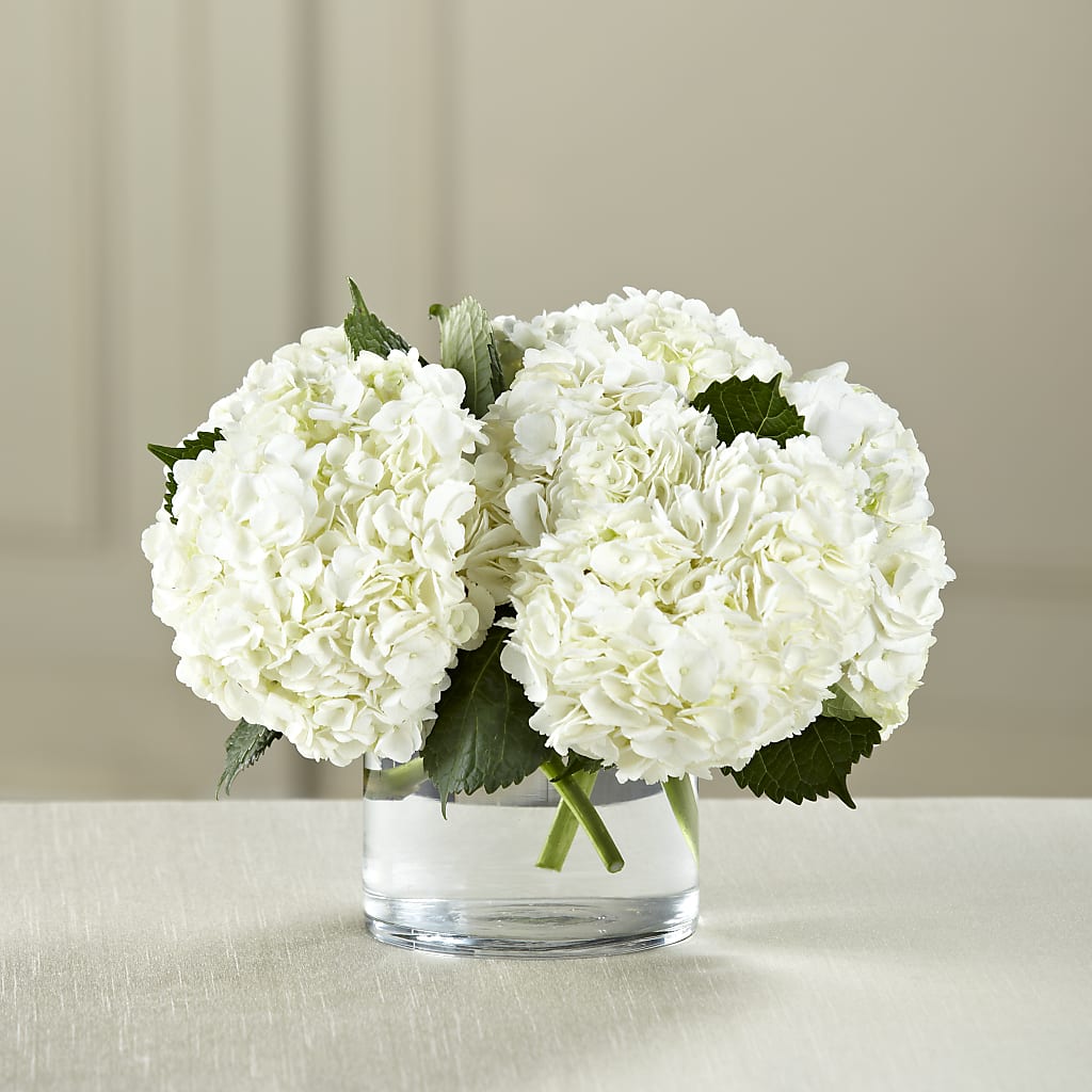 White Hydrangea Bouquet – Loose Leaf Florist, Austin TX