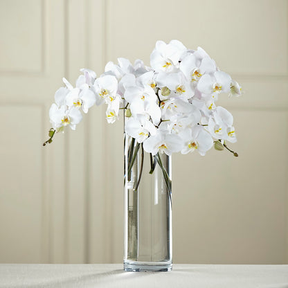 White Phalaenopsis Bouquet –  Loose Leaf Florist, Austin TX